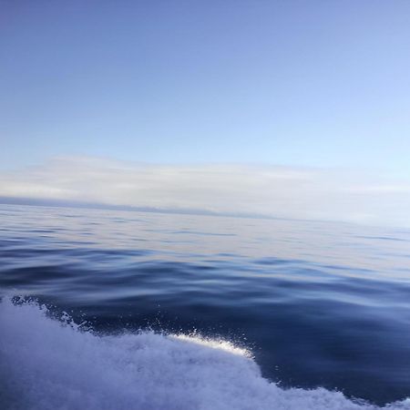 七十腳落背包客棧 Vandrehjem Ludao Eksteriør billede